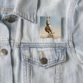 Akhal-Teke Horse Vierkante Button 5,1 Cm (In situ)