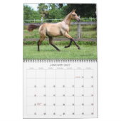 Akhal-Teke Horses 2 Kalender (Jan 2027)