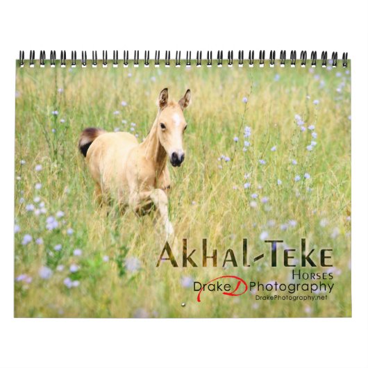 Akhal-Teke Horses 2 Kalender (Hoes)