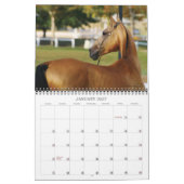 Akhal-Teke Horses Kalender (Jan 2027)