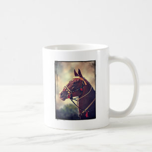 Akhal Teke Koffiemok