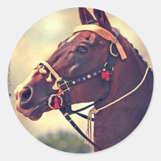 Akhal Teke Ronde Sticker (Voorkant)