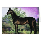 Akhal-teke Stallion (Voorkant Horizontaal)