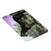 Akhal-teke Stallion Magneet (Rechterzijde)