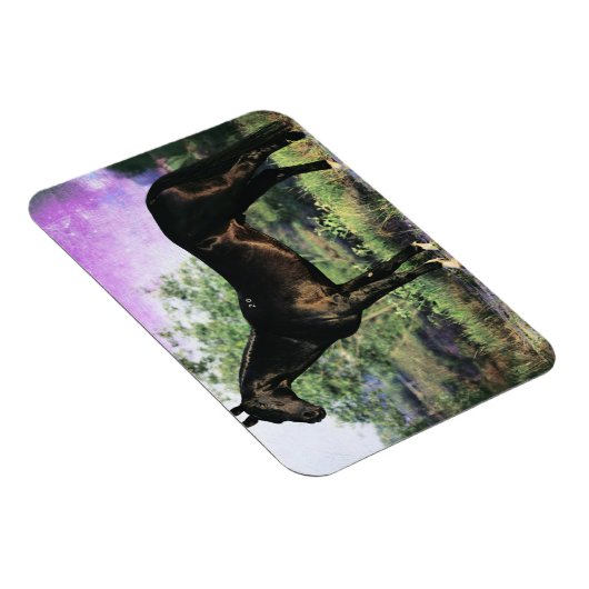 Akhal-teke Stallion Magneet (Rechterzijde)