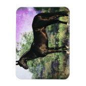 Akhal-teke Stallion Magneet (Verticaal)