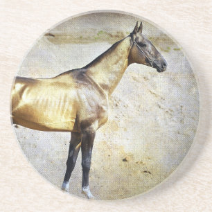 Akhal-teke Zandsteen Onderzetter