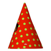 Akili Verjaardagsfeestje Pet Feesthoedjes (Rechts)