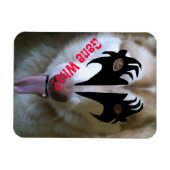 Akira Kiss Gene Wie? Magneet (Horizontaal)