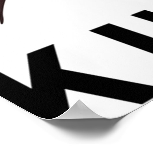 Akira Kurosawa Poster (Hoek)