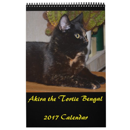 Akira the Tortie Bengal 2017 Medium Calendar Kalender (Hoes)