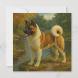 Akita