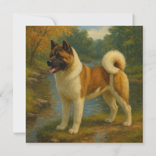 Akita (Voorkant)