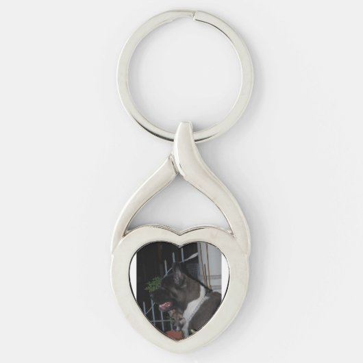 akita 2 sleutelhanger (Voorkant)