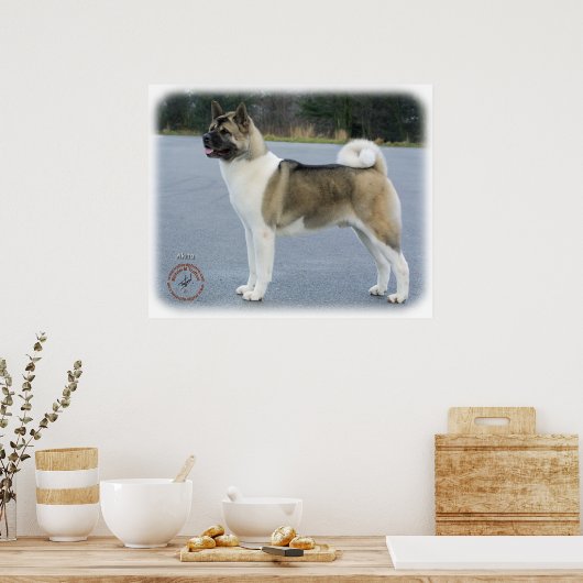 Akita 8P004D-12 Poster (Keuken)