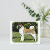 Akita 9R047D-143 Briefkaart (Staand voorkant)