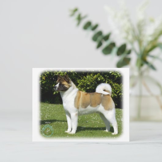 Akita 9R047D-143 Briefkaart (Staand voorkant)