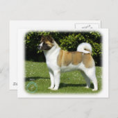 Akita 9R047D-143 Briefkaart (Voorkant / Achterkant)