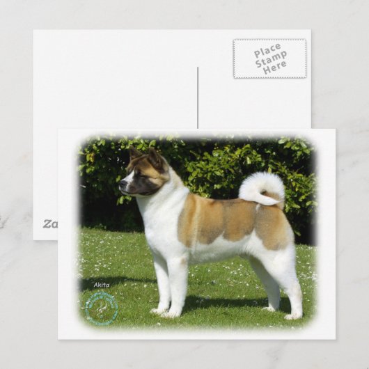 Akita 9R047D-143 Briefkaart (Voorkant / Achterkant)