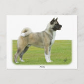 Akita 9R071D-147 Briefkaart (Voorkant)