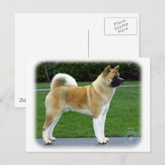 Akita 9T031D-052 Briefkaart (Voorkant / Achterkant)