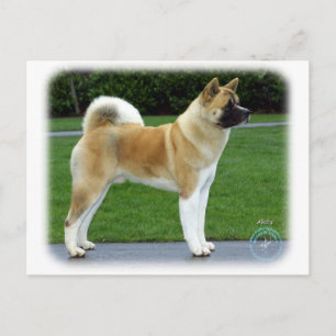 Akita 9T031D-052 Briefkaart