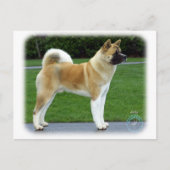 Akita 9T031D-052 Briefkaart (Voorkant)