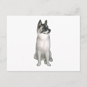 Akita (A) - (zwart masker) Briefkaart