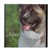 Akita Art Tegeltje (Voorkant)