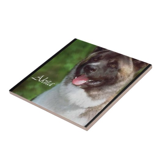 Akita Art Tegeltje (Zijkant)