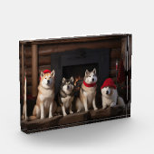 Akita bij de open haard Kerstmis Fotoblokken (Links)