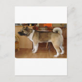 Akita Briefkaart (Voorkant)
