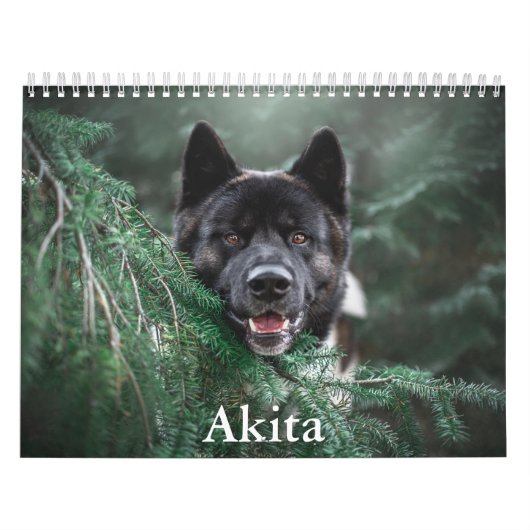 Akita Calendar Kalender (Hoes)