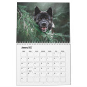 Akita Calendar Kalender (Jan 2027)