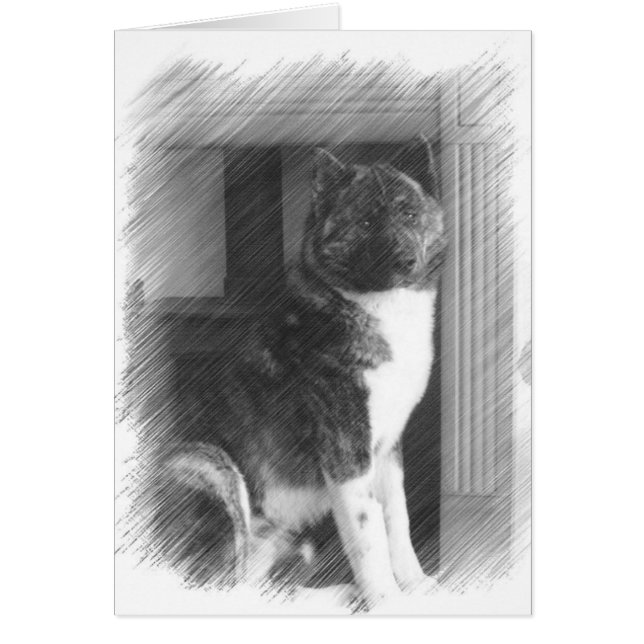 Akita Cards (Voorkant)