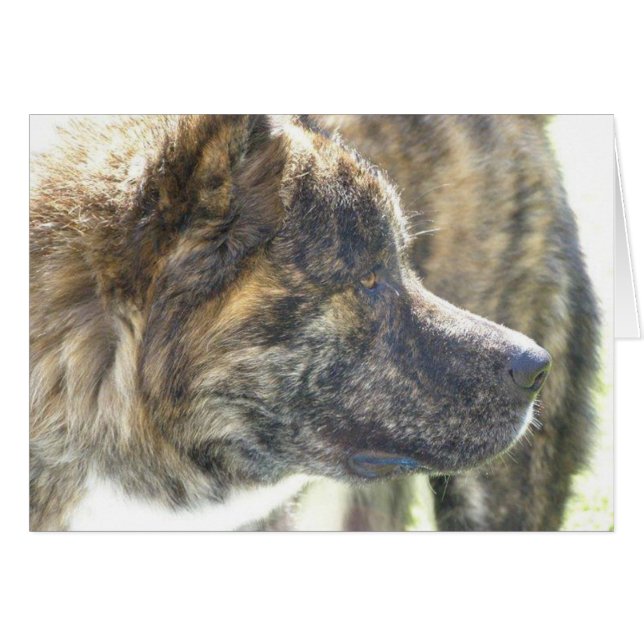 Akita Cards (Voorkant Horizontaal)