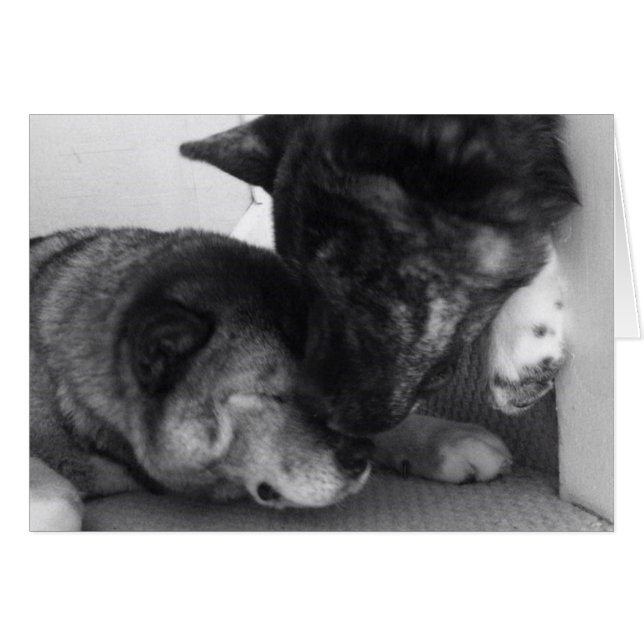 Akita Cards (Voorkant Horizontaal)