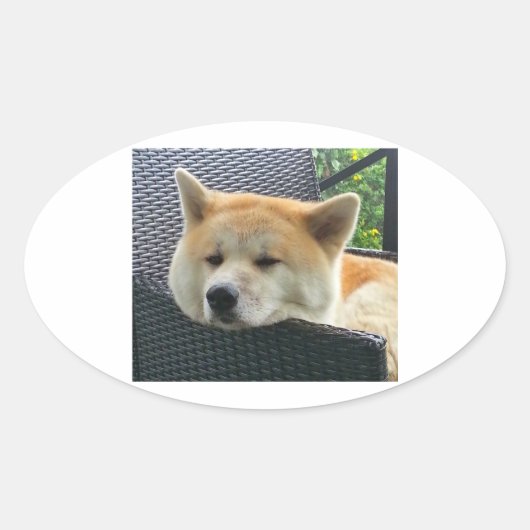 akita-chilling.png ovale sticker (Voorkant)