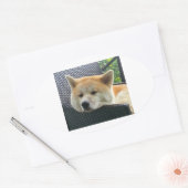 akita-chilling.png ovale sticker (Envelop)