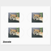akita-chilling.png ovale sticker (Vel)