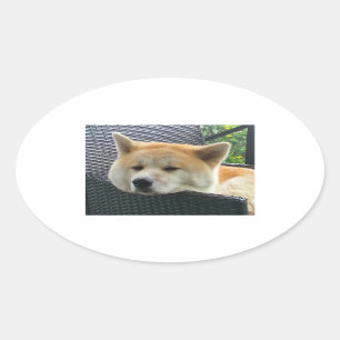 akita-chilling.png ovale sticker