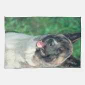 Akita Dog Kitchen Towel Theedoek (Horizontaal)