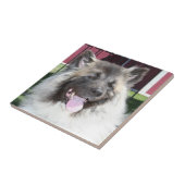 Akita dog tegeltje (Zijkant)