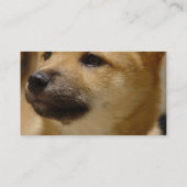 Akita Dog Visitekaartje (Achterkant)