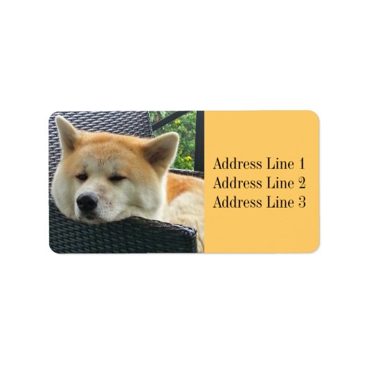 Akita foto adreslabel etiket (Voorkant)