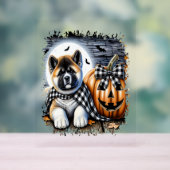 Akita-hond Halloween vierkant Acryl Bord (Neutraal)
