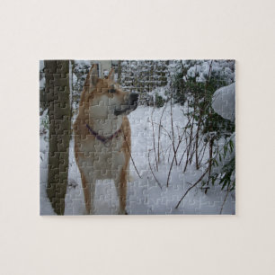 akita hond in sneeuw bedekte tuinstruiken foto legpuzzel