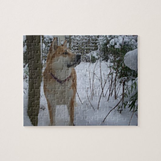 akita hond in sneeuw bedekte tuinstruiken foto legpuzzel (Horizontaal)