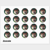 akita hond in St. Patrick's Day Dress Ronde Sticker (Vel)
