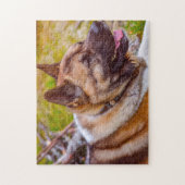 Akita honden. legpuzzel (Verticaal)